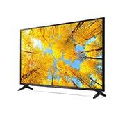 LG 164 cm (65) UHD AI TV (UQ75) with α5 Gen5 AI Processor 4K, Active HDR, HLG mode, Smart AI, 65UQ7500PSF