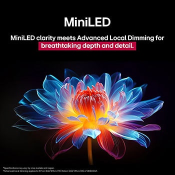 3D holographic flower in many different shades and hues against a black background. The definition and detail of the flower shows off QNED MiniLED's capability to produce visuals with exceptional color, brightness, and contrast. The title talks about how MiniLED and enhances clarity and provides exceptional contrast.