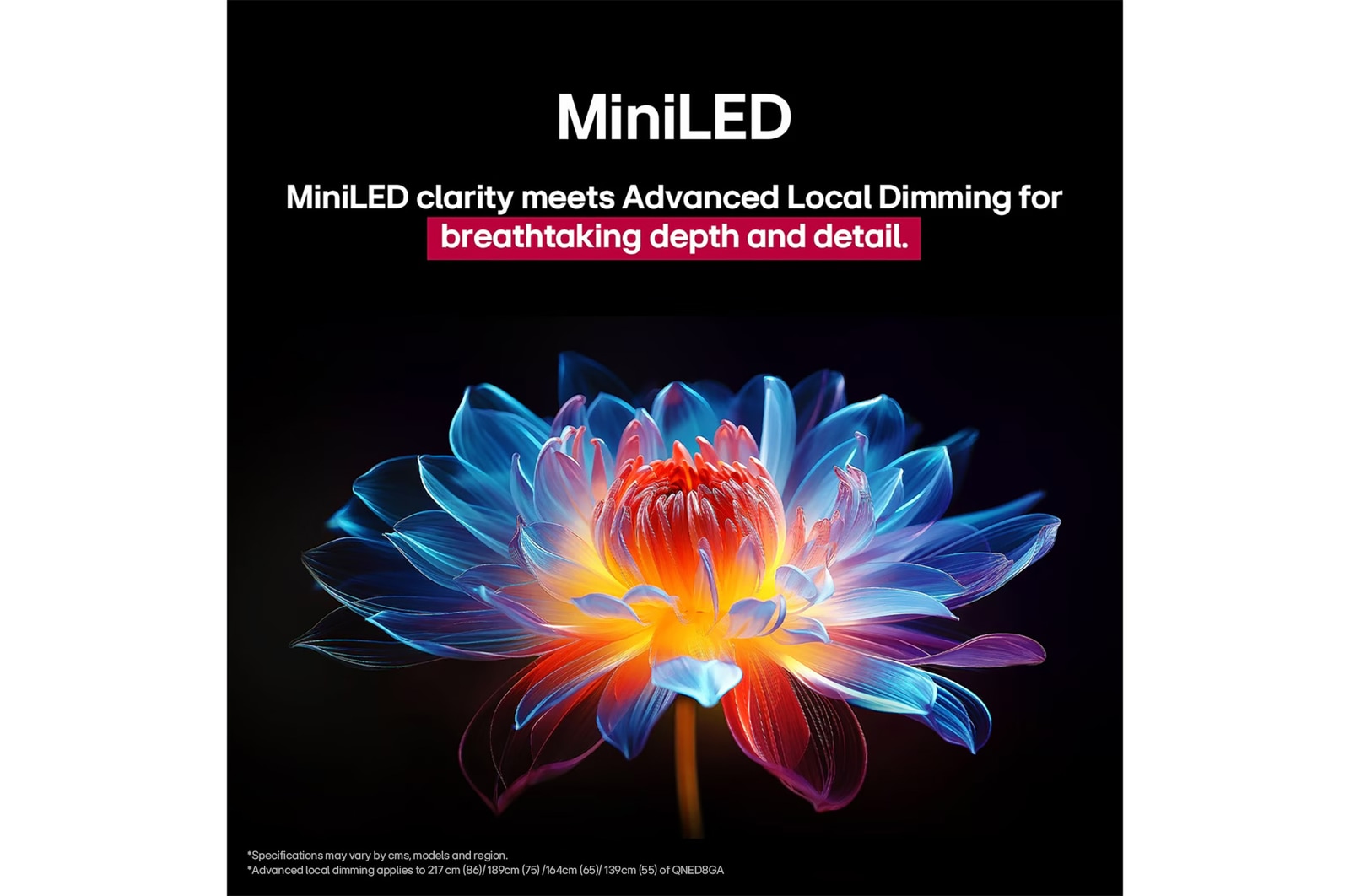 3D holographic flower in many different shades and hues against a black background. The definition and detail of the flower shows off QNED MiniLED's capability to produce visuals with exceptional color, brightness, and contrast. The title talks about how MiniLED and enhances clarity and provides exceptional contrast.