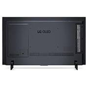 LG OLED evo C2 48 (121cm) 4K Smart TV | TV Wall Design | WebOS  | Gaming TV, OLED48C2PSA