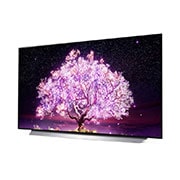 LG 121 cm (48) OLED TV (C1) with α9 Gen4 AI Processor 4K, Cinema HDR, Dolby Vision IQ, Ultra Thin Bezel, OLED48C1XTZ