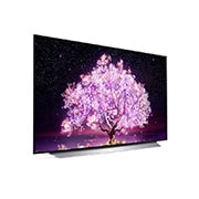 LG 121 cm (48) OLED TV (C1) with α9 Gen4 AI Processor 4K, Cinema HDR, Dolby Vision IQ, Ultra Thin Bezel, OLED48C1XTZ