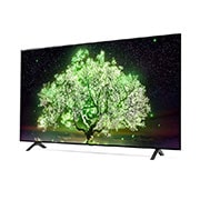 LG A1 65  (164cm) 4K Smart OLED TV, OLED65A1PTZ