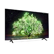 LG A1 65  (164cm) 4K Smart OLED TV, OLED65A1PTZ