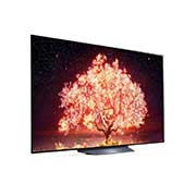 LG B1 55 (139 cm) 4K Smart OLED TV, OLED55B1PTZ