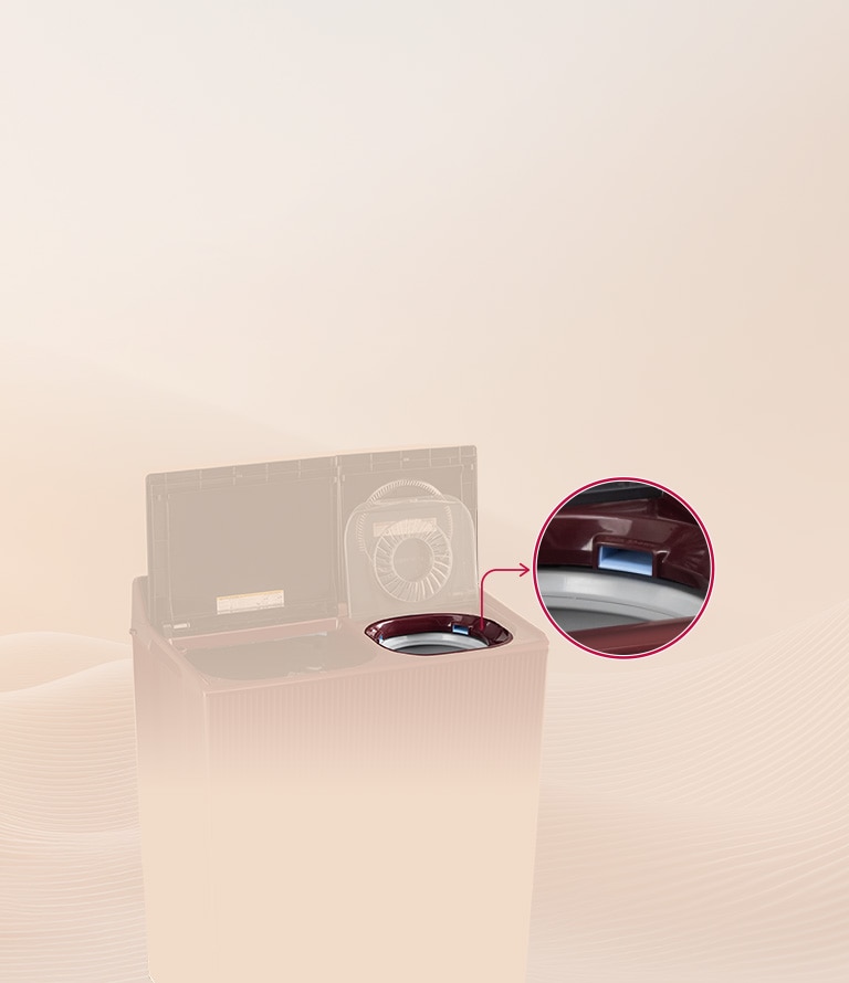Dual Spin Shower