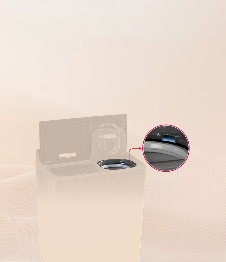 Dual Spin Shower