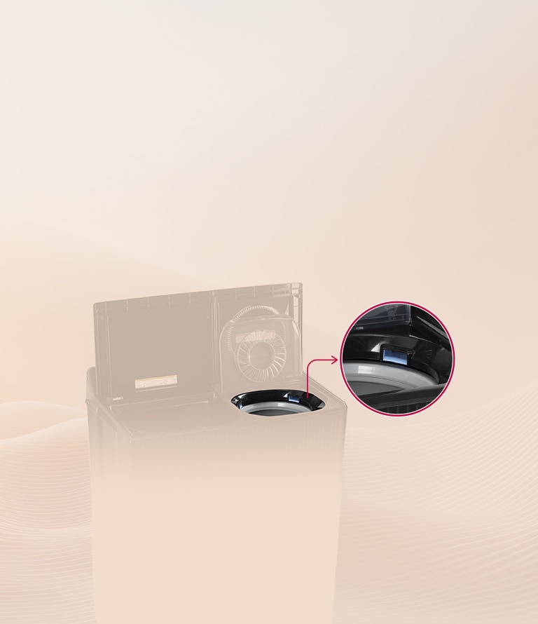 Dual Spin Shower