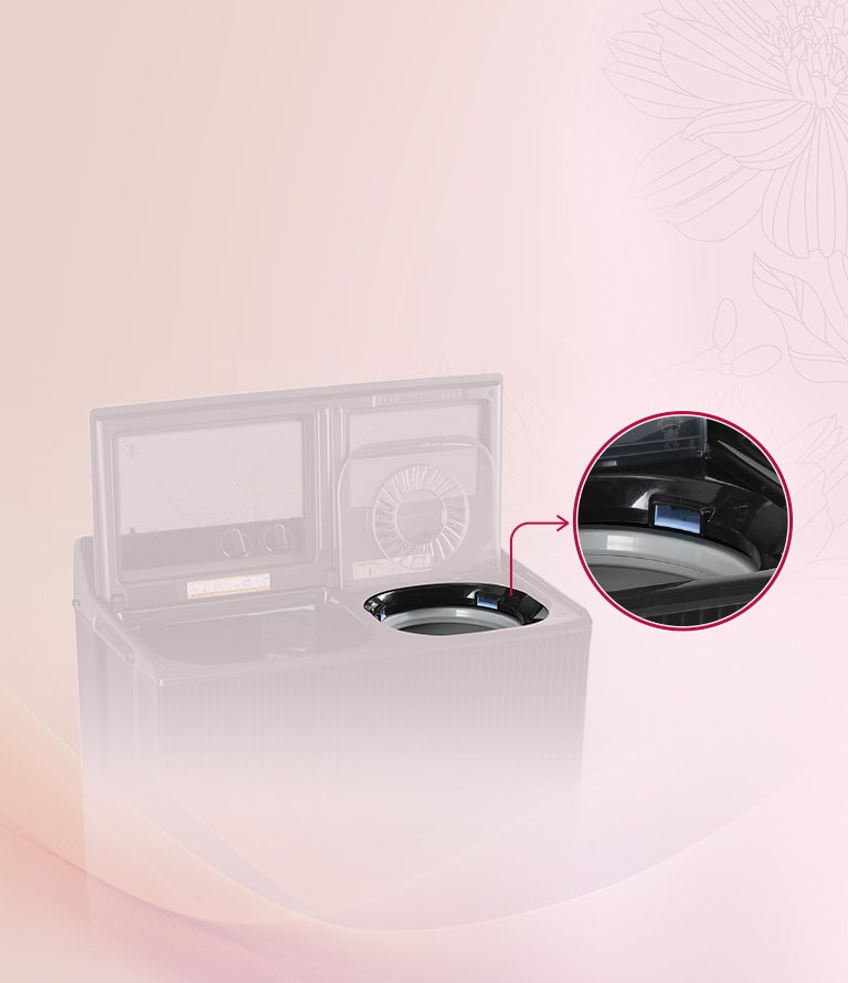 Dual Spin Shower
