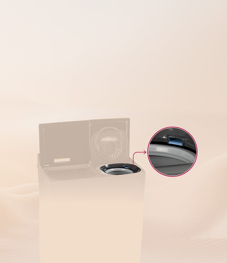 Dual Spin Shower