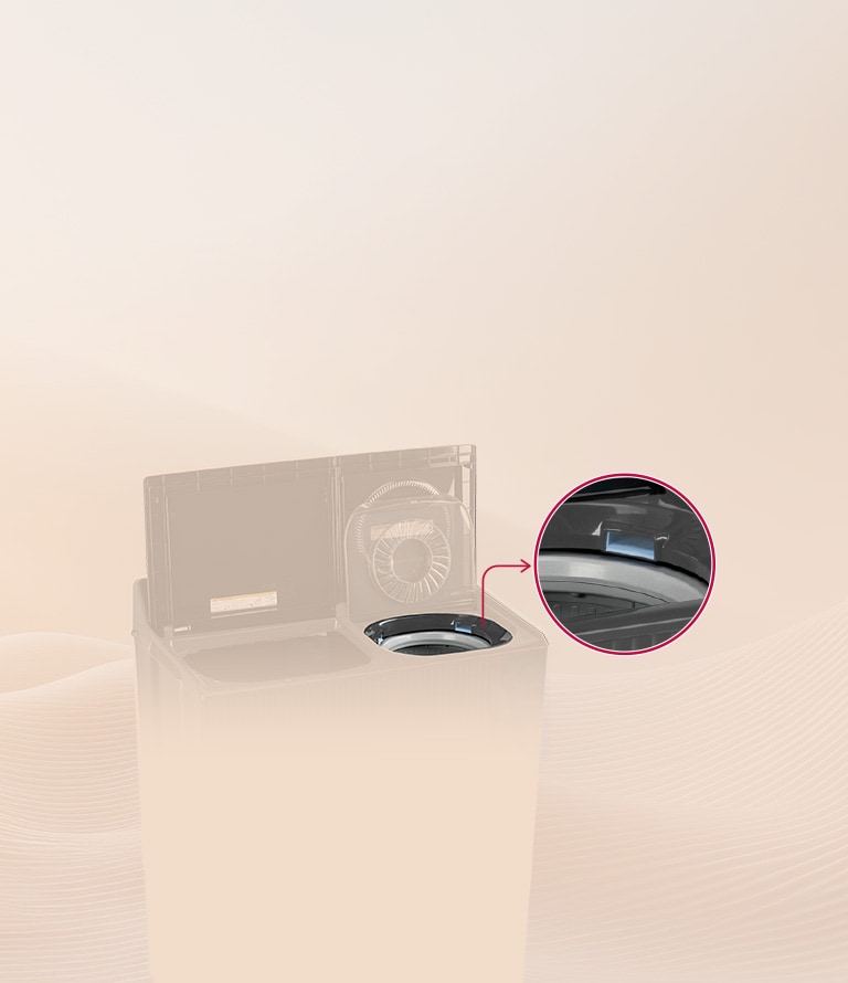 Dual Spin Shower