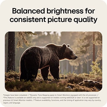 Dynamic Tone Mapping on LG Smart Monitor automatically balancing brightness and contrast for stable viewing.