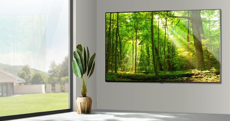 LG Nanocell TV Slim Design