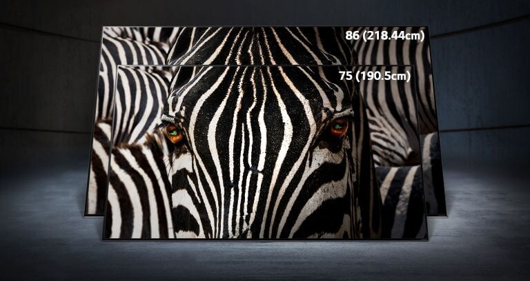 A 75-inch LG NanoCell TV stood directly in front of an 86-inch ultra-large LG NanoCell TV in a dark space. A close-up image of a zebra’s face is displayed on the screens.