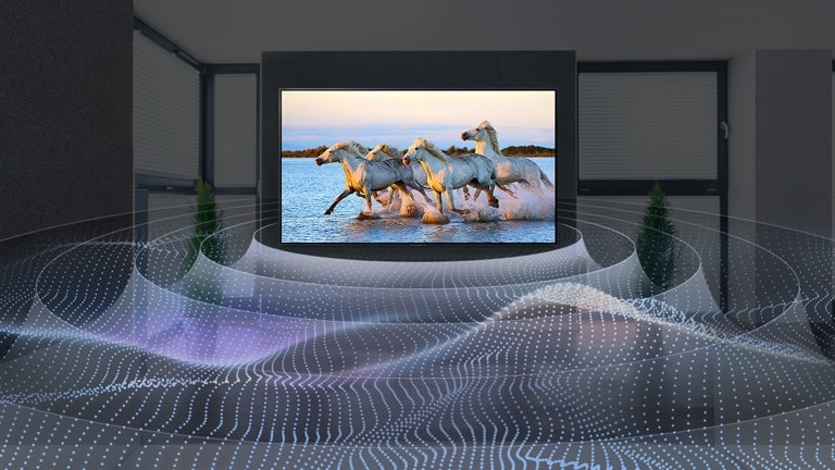 Four white horses running in the water on TV with surround sound graphic.