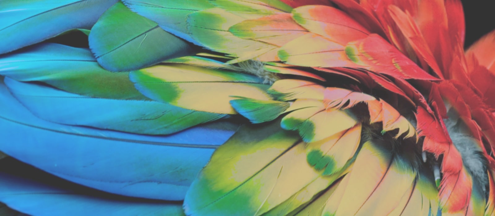Colorful image with LG Wheel-less Laser & LED technology