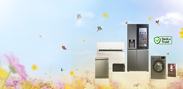 Summer Sale