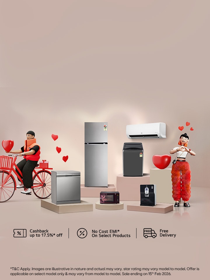 Appliance Valentin day