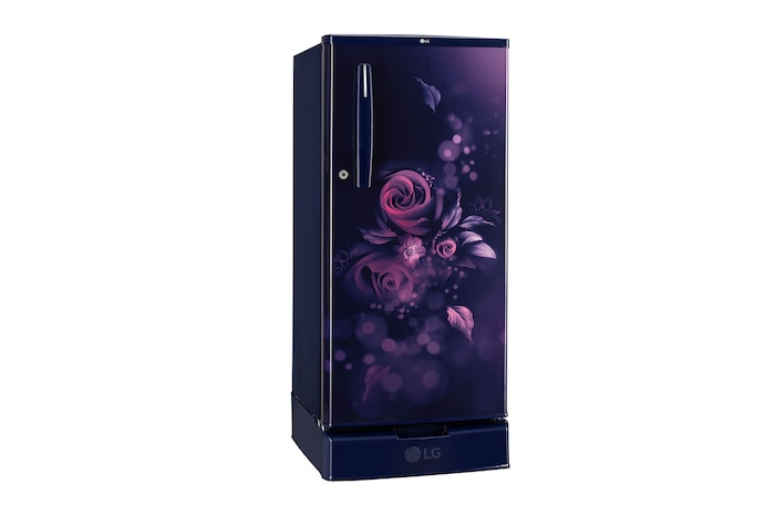 Left Low Perspective View