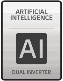 DUAL Inverter