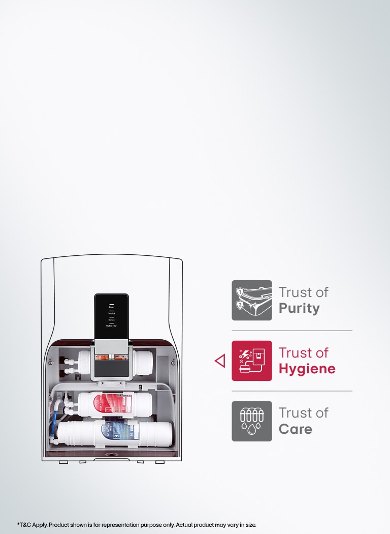 The promise of the absolute Purity