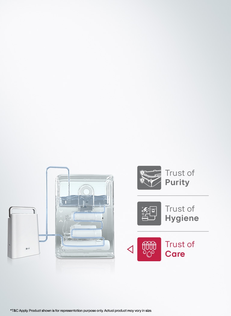 The promise of the absolute Purity