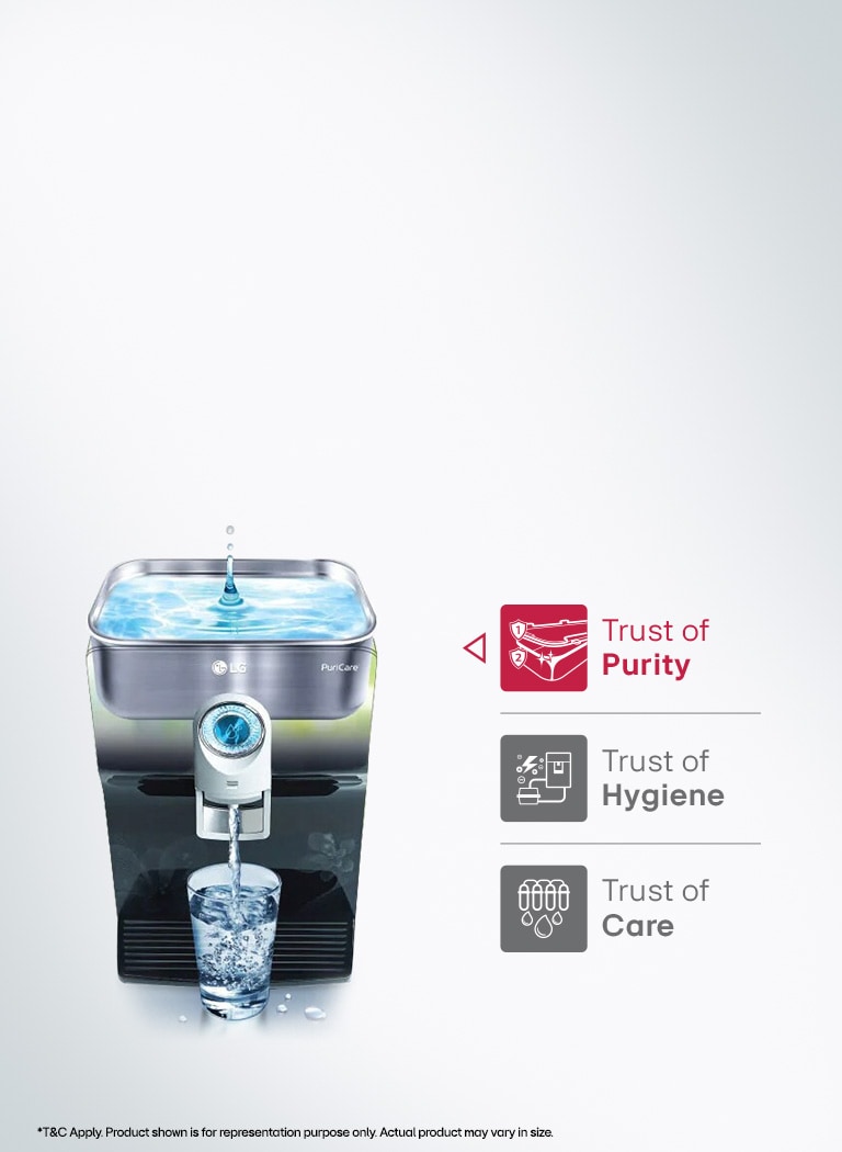 The promise of the absolute Purity