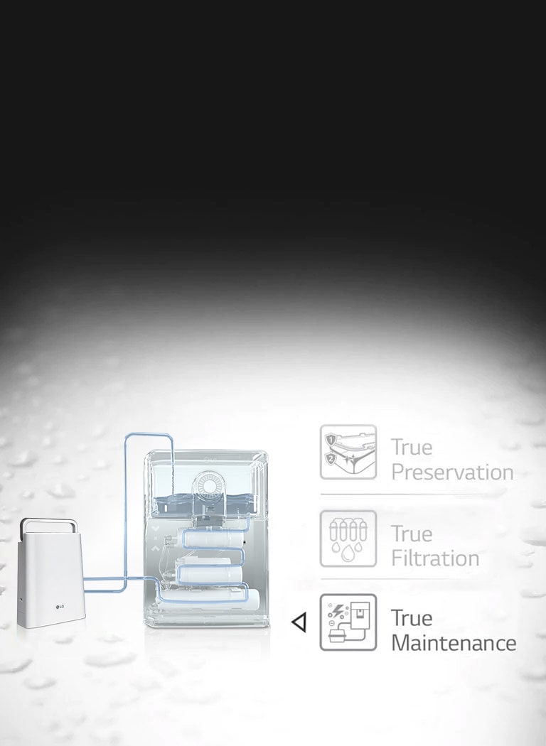 LG True Water Purifier