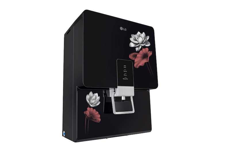 left prospective view