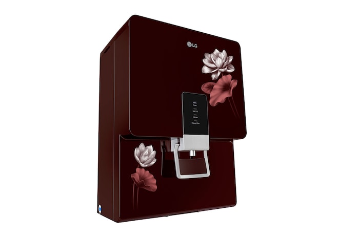 left prospective view