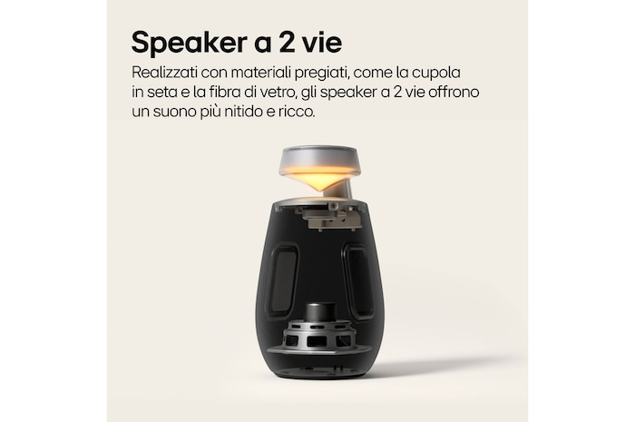 Dettaglio Speaker a 2 vie