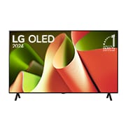 Foto frontale OLED OLED65B46LA 