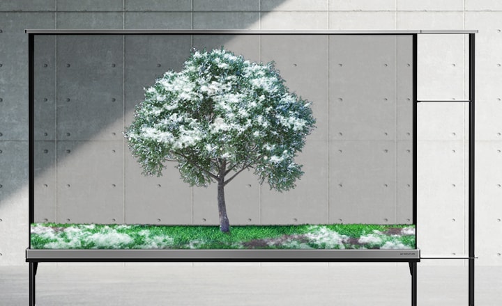 LG SIGNATURE OLED T mostra uno schermo trasparente con un albero verde. Il paralume viene sollevato quando la stagione passa all’inverno e la neve cade sull’albero.