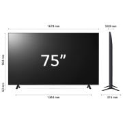Dimensioni del TV