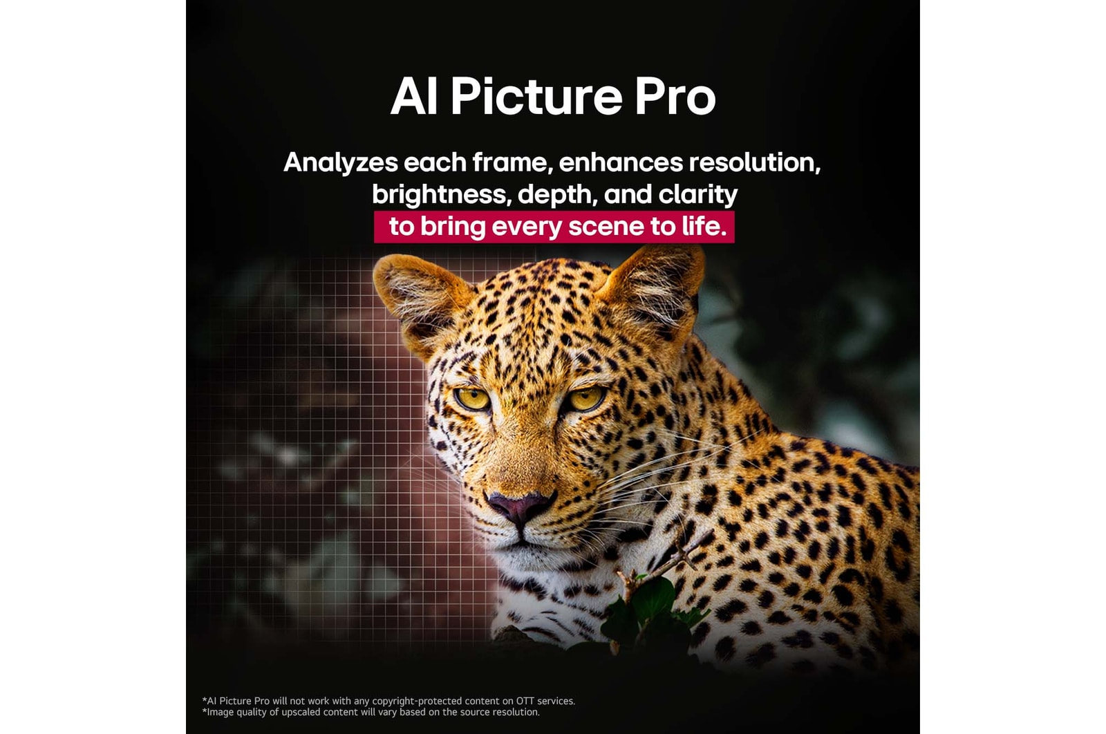 Leopardo nella foresta, dai colori vividi e ricco di dettagli. Il leopardo ha una griglia e una luce che brilla dietro di esso, indicando come LG AI Picture Pro ha apportato notevoli miglioramenti visivi alla risoluzione, alla luminosità, alla profondità e alla chiarezza della scena.