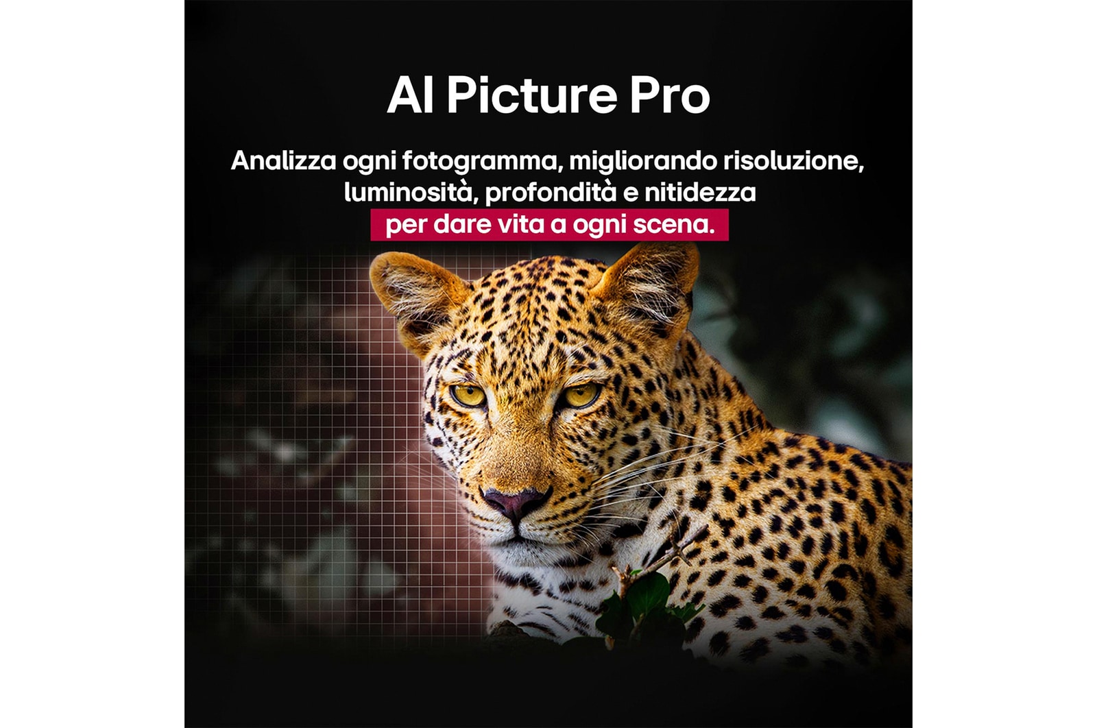 Caratteristica AI Picture Pro