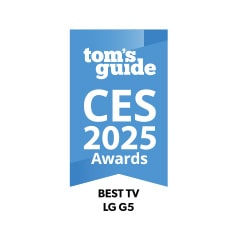 Badge CES Innovation Awards con menzione 2025 Honoree.