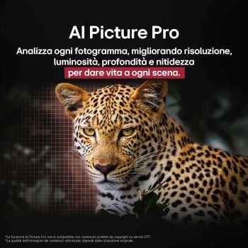 Pappagallo colorato in altissima definizione su sfondo nero. Gocce d’acqua sono sospese nell’aria tutt’intorno. L’immagine mostra il colore perfetto, in quanto ogni diversa tonalità sul corpo del pappagallo è nitida e vivida. Inoltre, lo sfondo scuro con gli schizzi d’acqua dettagliati mette in evidenza come lo schermo sia privo di riflessi. Sono visibili diverse certificazioni con logo UL e Intertek. Questi si riferiscono alla fedeltà del colore al 100%, al 100% di volume di colore e all’assenza di riflessi. Anche il testo è visibile, verifica il marchio di certificazione dei Colori perfetti.
