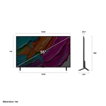 Dimensioni del TV LG QNED8E 55 pollici