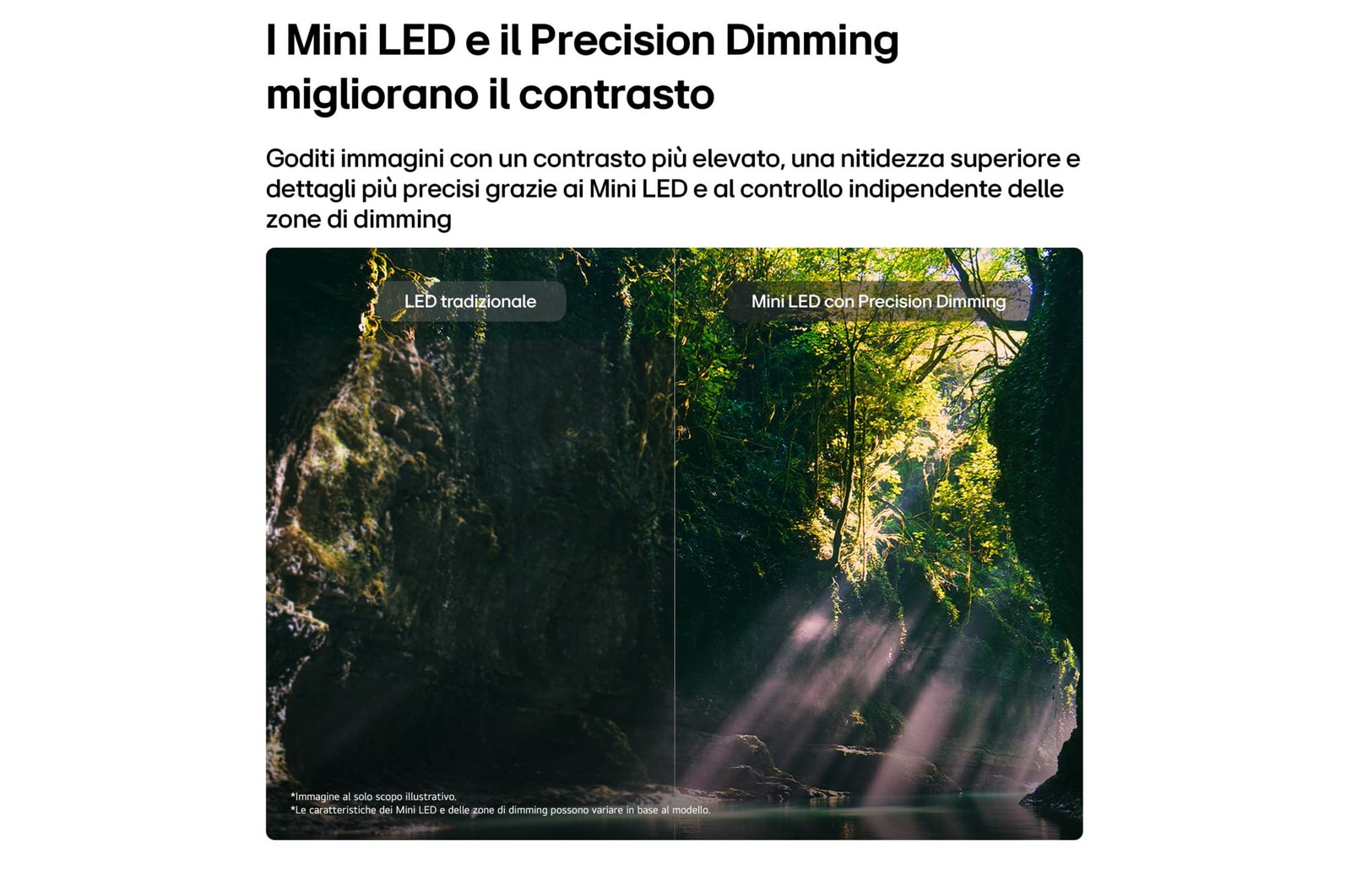 Caratteristica Mini LED con Precision Dimming per il TV LG QNED evo MiniLED