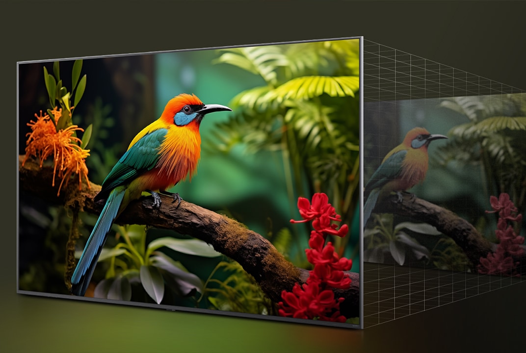 Confronto “prima e dopo” che mostra come LG 4K Super Upscaling migliori la qualità dell’immagine. Due pannelli mostrano la stessa immagine di un uccello colorato posato su un ramo nella foresta; il pannello di destra appare sbiadito.