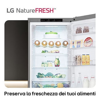 Frigorifero combinato LG GBV3200DPY mostra l'interno NatureFRESH con portabottiglie e cassetti per prolungata freschezza di frutta e verdura.