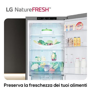 Frigorifero combinato LG GBV3100CPY mostra l'interno NatureFRESH con cassetto Moist Balance Crisper pieno, per una freschezza prolungata.