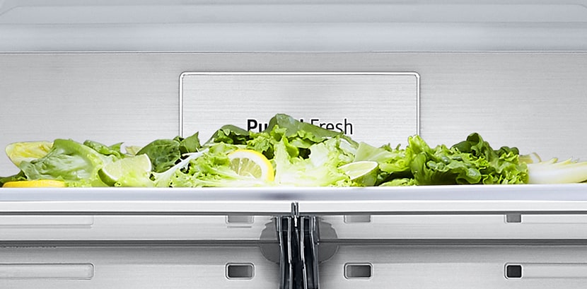 Close-up of metal fresh label inside the refrigerator.