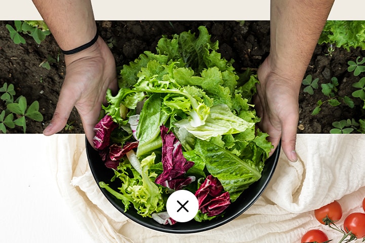 Mani che tengono una ciotola di insalata fresca.