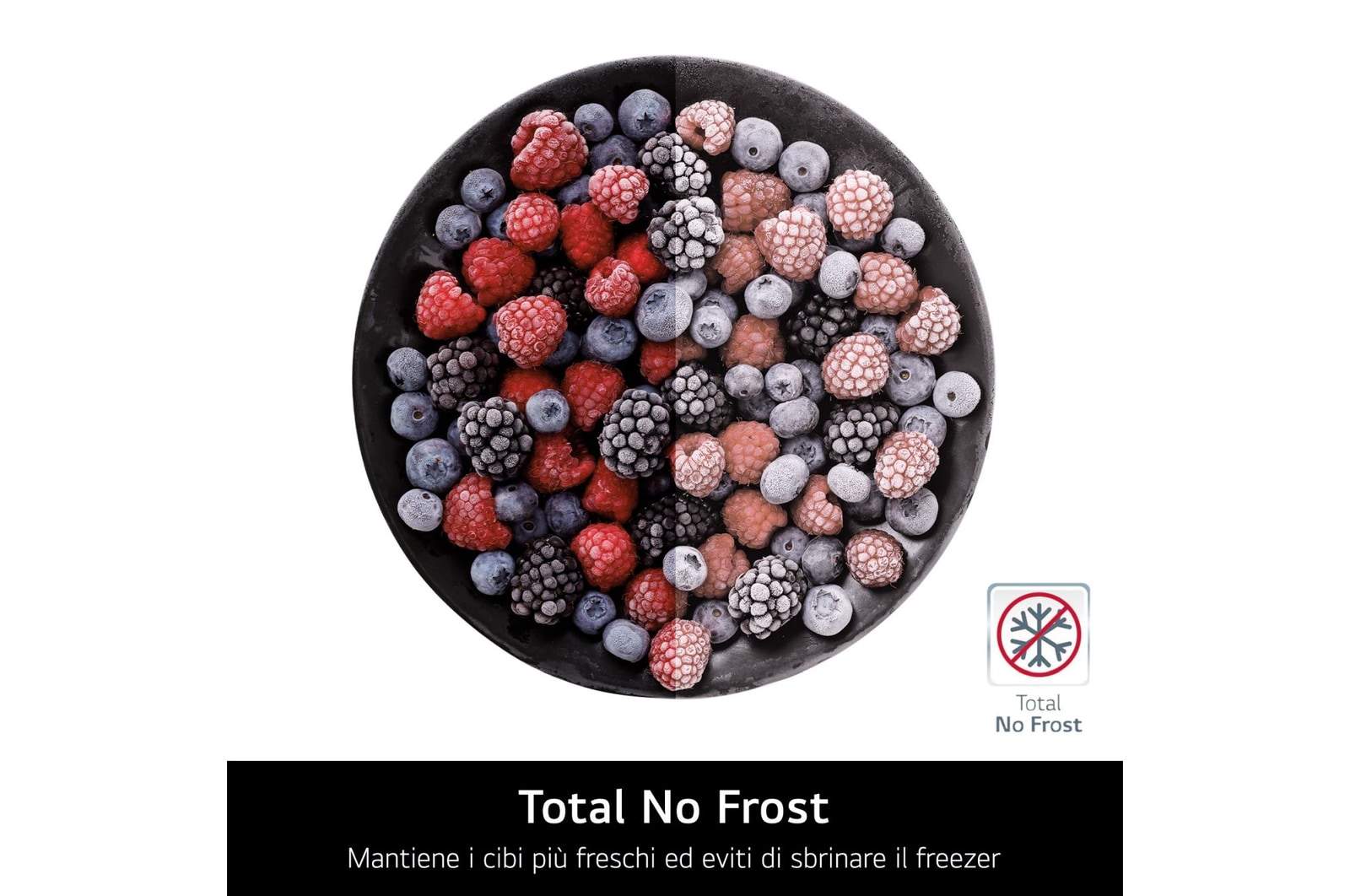Total no frost frigorifero combinato GBBSJ20DEP