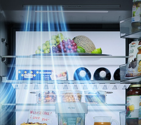 Interno del frigorifero LG (GBGW92GCEV) con frutta, verdura, bevande e snack sugli scaffali e linee di flusso d'aria blu