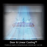 Door and linear