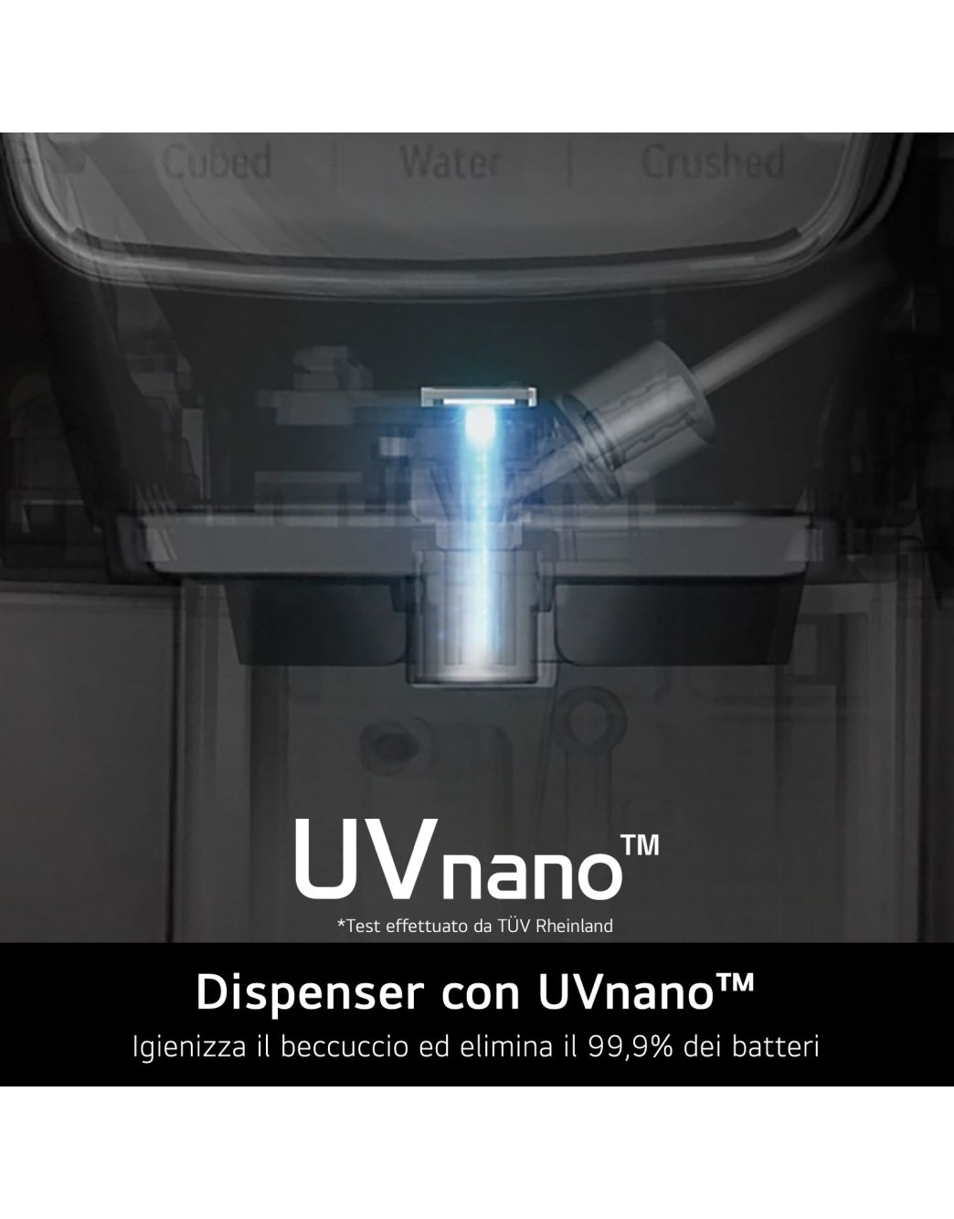 Lampadina, lampade per frigorifero HAIER | Consegna veloce