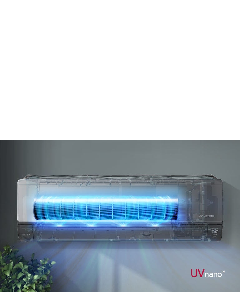 Condizionatore LG Dual Inverter UVnano illuminato di blu, montato su una parete grigia, con una pianta in basso a sinistra.